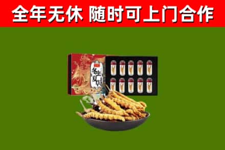 柳州烟酒回收冬虫夏草礼盒.jpg